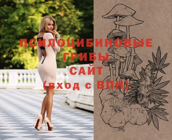 apvp Вяземский