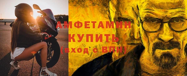 apvp Вяземский