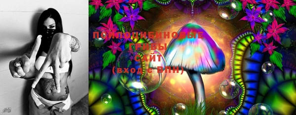 эйфоретик Вязьма