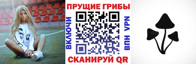 Галлюциногенные грибы GOLDEN TEACHER  где купить наркоту  Полевской 